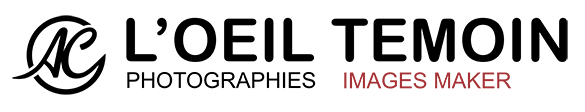 loeil-temoin-logo-2023-home